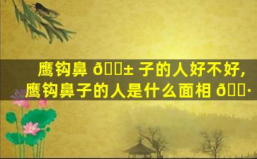 鹰钩鼻 🐱 子的人好不好,鹰钩鼻子的人是什么面相 🌷